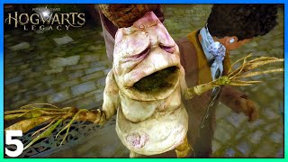 MERLINS BEARD STILL A TUTORIAL Herbology  Potions  More  Hogwarts Legacy  Part 5 [upl. by Bradney5]