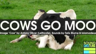 COW MOO SOUNDS for 6 Hours [upl. by Eyoj]