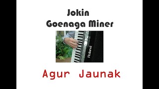 AGUR JAUNAKRepertorio de JOKIN GOENAGA MINER 1ACORDEON ROLAND FR8X [upl. by Ynner]