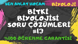 BİTKİ BİYOLOJİSİ SORU ÇÖZÜMLERİ 13  AYT BİYOLOJİ  ✅ [upl. by Ahtel]