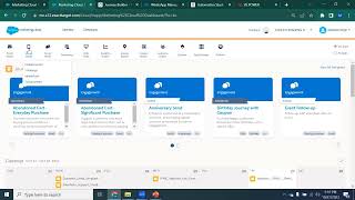 Salesforce Marketing Cloud Product Demo [upl. by Yhtir552]