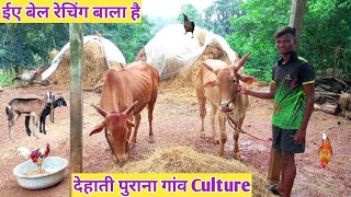 The most beautiful village life in India  India village culture  Beautiful village life [upl. by Mauralia846]