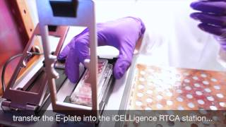 Cell Adhesion Assay with iCELLigence  a hands on video [upl. by Congdon165]