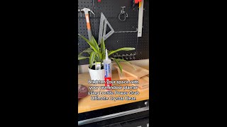 DIY Indoor Planter Box with Loctite® Power Grab® [upl. by Enitnelav]