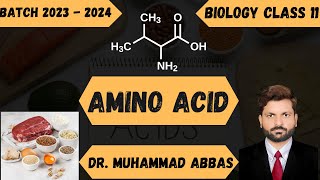 Why You Dont Need 20 Amino Acids  Amino acid [upl. by Atirma]