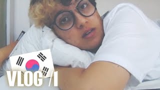 VLOG 1 CORÉE  Notre arrivée en catastrophe [upl. by Aneeh]