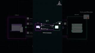 TLS Handshake Secures Connections [upl. by Meehyrb]