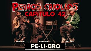 PERROS CRIOLLOS  PELIGRO CAP 42 [upl. by Eleumas]