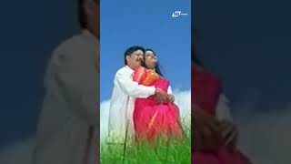 Namma Bandha Anubandha shorts  Yajamana  Vishnuvardhan  Prema  Kannada Video Song shorts [upl. by Neehar387]