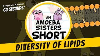 Diversity of Lipids  Amoeba Sisters Shorts [upl. by Alyakim]