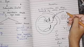 Fluid system of eye Glucoma guyton 50 last part specialsensoryphysiology [upl. by Atika]