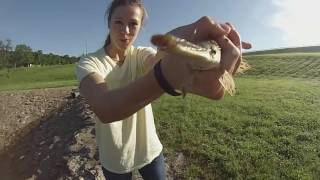 Fishing the Smithville Dam Spillway [upl. by Hedwig]