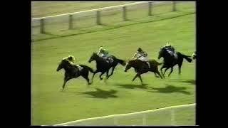 1985 Tattersalls Middle Park Stakes [upl. by Ettelimay903]