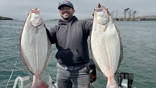 Tomales Bay Halibut and Thresher Shark rodeo Catch and Cook [upl. by Iblok]