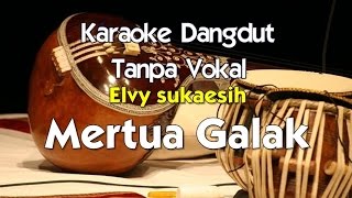 Karaoke Elvy Sukaesih Mertua Galak [upl. by Llevad230]