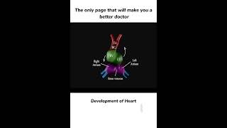 Development of heart heart hearttouching [upl. by Otis]