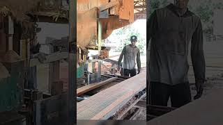 pabrik pengolahan Kayu keruing bandsaw wood kayu [upl. by Egiaf]