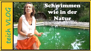 Warum ein Schwimmteich die beste Wahl ist [upl. by Cheria]