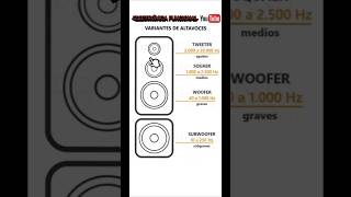 Tipos de parlantes o bocinas electronicafacil amplificadoresdeaudio bocina crossover audio [upl. by Suez]