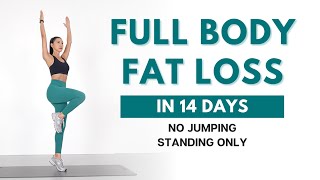 FULL BODY FAT LOSS in 14 Days  40 min Standing Workout  No Jumping Beginner Friendly [upl. by Schluter]