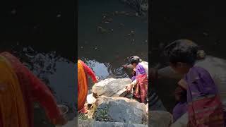 Jai pinakeshwar mahadev ✨️ 🔱  shortvideo ytviral ytshortsindia shorts [upl. by Aramal]