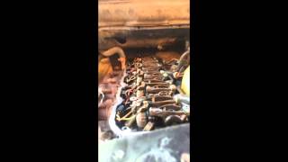 Common rail Cummins start up after 100hp nozzle install [upl. by Enylodnewg580]