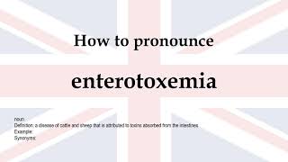 How to pronounce enterotoxemia  meaning [upl. by Ainad]