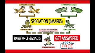 SPECIATION explain how new species form Grade 12 life sciences  get answered [upl. by Norwood]