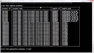 BaseSpaceCLI tutorial listing entities [upl. by Lj629]