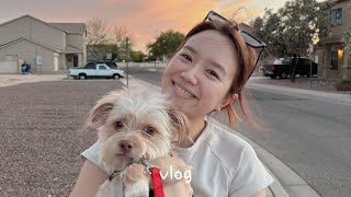 국제커플 미국 일상 vlogㅣ트레이더조 추천ㅣ대학원 준비 [upl. by Sirehc]