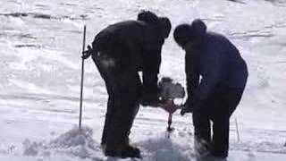 Ice Fishing in Nunavut  Funny [upl. by Fannie]