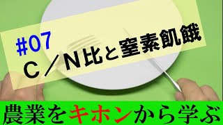 【農業のキホン07】Ｃ／Ｎ比そして窒素飢餓。有機肥料マスターになるための第一歩です [upl. by Jonis]