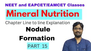 Nodule Formation  Mineral Nutrition Chapter Line to line Explanation  PART 15 [upl. by Sulrac]