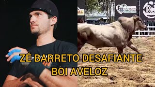 ZÉ BARRETO DESAFIANTE BOI AVELOZ [upl. by Darb]