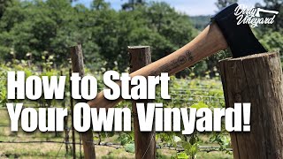 How To Start Your Own Vineyard  Season 1 Episode 1  How You Can Start a Vineyard [upl. by Bess479]