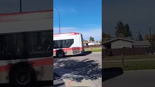 Bus Route 1 Leaving Penbrooke Bus Terminal calgarytransit calgary transit bus publictransport [upl. by Ciccia650]