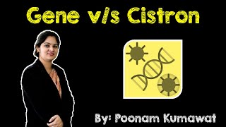 Gene vs Cistron  Cytology  Molecular Biology  Genetics  NEET  AIIMS  Board Exams [upl. by Akemehs924]