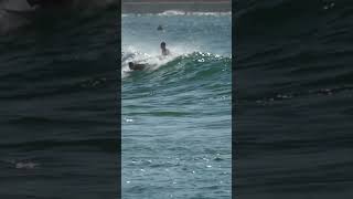 Sydney Surf  Bondi Beach South Break  Spring  Part 5 [upl. by Aillicirp]