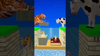 New Money vs Knowledge With Cartoon Cow vs Tiger What Do Choose Shorts Cartoon Viral [upl. by Werd]