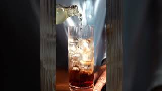 Sloe Gin amp Franklin amp Sons Sicilian Lemon Tonic [upl. by Ajat603]