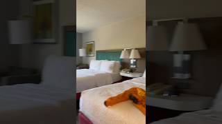 Hampton Inn hotel tour in Orlando Florida USA Hampton inn by Hilton hotel room tour [upl. by Ydor]