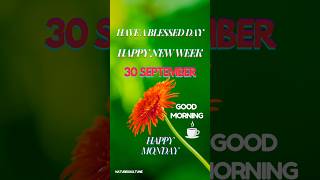 Good morning wishes🙏💚🙏naturesoultune ytshort goodmorningwishes shorts goodmorningquotesMonday [upl. by Reinert]