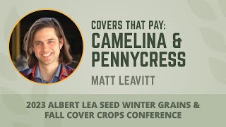 Covers That Pay Camelina amp Pennycress [upl. by Airtened844]