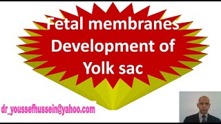 15 Fetal membranes  Yolk sac  Functions  Congenital anomalies of Vitellointestnial duct [upl. by Elo]