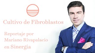 Cultivo de Fibroblastos  Entrevista por Mariano Riva Palacio  Sinergia TV Azteca [upl. by Mendel]