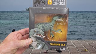 🦖 Jurassic World Hammond Collection Delta Velociraptor Action Figure 🦕 [upl. by Ennyroc7]