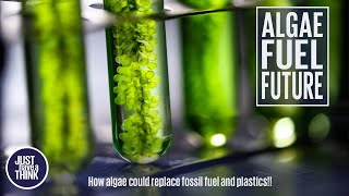 Algae  natures answer to fossil fuels and plastics [upl. by Esirrehc]