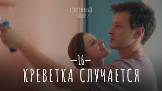 Естественный отбор Серия 24 Креветка случается — Комедия  Фильмы и сериалы [upl. by Bourn931]