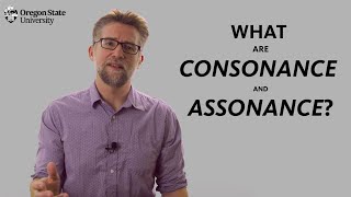 quotWhat are Assonance and Consonancequot A Literary Guide for English Students and Teachers [upl. by Eemak]