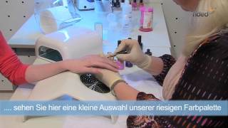 Gellack UV Lack LED Polish Gel UV Nagellack  ndedde [upl. by Eva]